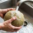 Descascar o melão sem lavar a casca parece não fazer diferença porque ela será descartada, mas nos Estados Unidos a orientação é lavar a fruta antes do corte para evitar que sujeira e bactérias sejam levadas da superfície para a polpa