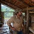 Caseiro percebe que o saco de milho amanhece aberto sempre depois das noites de chuva, amarra a boca com corda dupla e descobre que um grupo de quatis chegava ao depósito pelo telhado e descia por uma pilha de caixas