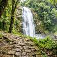 Uma caminhada de cerca de 50 quilômetros em três dias, cachoeiras e trechos de calçamento dos tempos da Coroa: a travessia histórica que cruza a Serra da Bocaina entre São Paulo e Rio de Janeiro
