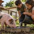 Família compra um leitão para criar no sítio, crianças dão nome ao animal e o almoço de fim de ano vira discussão quando percebem qual era o plano dos adultos desde o início