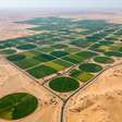 O Egito está convertendo milhões de hectares de deserto em terras agrícolas utilizando água reciclada