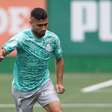 Palmeiras leva vantagem na história sobre o Bahia