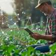 Ministério da Agricultura apresenta requisitos para credenciar empresas de tecnologia blockchain para monitorar produção de soja e milho