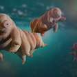 Ao inserir o gene de um tardígrado japonês em células humanas, os pesquisadores deram ao nosso DNA uma proteção que a evolução nunca nos concede