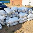 PRF apreende 323 kg de maconha escondidos em carga de verduras na BR-116, na Bahia