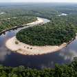 Mais de 2,2 milhões de hectares de floresta amazônica contínua e uma bacia inteira de águas pretas: o parque do Amazonas que é o único do Brasil a proteger praticamente toda a bacia hidrográfica de um rio desse tipo