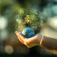 6 atitudes para viver com mais conforto e menos impacto no planeta
