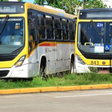 Linhas especiais de ônibus são ativadas para operar aos sábados no Grande Recife; entenda o motivo