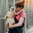 Amor que cura: 10 motivos transformadores para adotar um cão ou gato