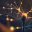 Oportunidade na UFRGS: Inscrições abertas para o tradicional Curso de Neurociências