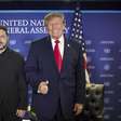 Trump descarta Zelensky e pede 'novo presidente' na Ucrânia