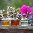 Aromaterapia: como escolher óleos essenciais para cada momento