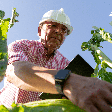 Engenharia agronômica: 7 áreas de atuação que ultrapassam o trabalho no campo