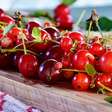 Melhora o sono: nutricionista indica fruta para consumir antes de dormir