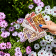 Tarot do dia: previsão para os 12 signos em 13/10/2026