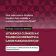 Webinário debate avanço da litigância climática