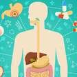 Motor da vida: como entender e acelerar o seu metabolismo?