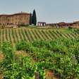 O maior roubo de vinho da história da Itália: ladrões levam 30 mil garrafas avaliadas em cinco milhões de euros