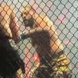 Filho de ex-campeão do UFC é nocauteado em luta amadora de MMA