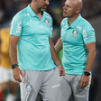 Vitor Castanheira destaca estratégia do Palmeiras e lamenta gol no fim