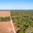 Futuro do meio ambiente e do clima no planeta depende das eleições no Brasil