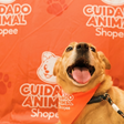 Shopee e Ampara Animal fazem mutirões gratuitos de saúde pet