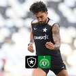 Botafogo x Chapecoense: Onde Assistir ao Vivo, Horário e Escalações pela 31ª Rodada do Brasileirão
