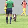 Cachorro invade campo e quase faz gol em jogo do Vasco Sub-15