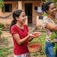 Você já sabe que a acerola é rica em vitamina C. Agora, descubra o que mais essa fruta oferece, se engorda e como consumi-la melhor