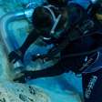Estava à espera há 4.700 anos no fundo do Mediterrâneo: a descoberta surpreendente do naufrágio mais antigo do mundo