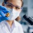 Ouro na medicina: como o metal é usado para tratar doenças