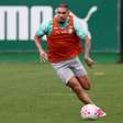 Exame descarta nova lesão, mas Paulinho desfalcará o Palmeiras