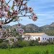 Precisa-se de voluntários para morar gratuitamente em uma casa com piscina perto de Alicante, na Espanha, em troca de transportar feno e cuidar de dois cavalos
