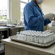 Anvisa interdita lote de medicamento Fauldleuco por desvio de qualidade