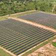 Energia solar por assinatura é confiável? Veja como funciona
