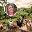Ovos orgânicos: o que muda quando a galinha tem acesso ao pasto