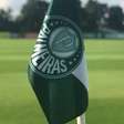 Vai assistir ao Palmeiras hoje? Confira o horário da partida