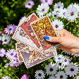 Tarot semanal: previsão para os signos de 26 de outubro a 01 de novembro de 2026