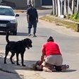 Criança de 3 anos e avó são atacadas por rottweiler na Mata Sul de Pernambuco; vítimas foram hospitalizadas