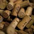 Rolha de vinho no vaso pode dar pistas sobre umidade, mas não substitui tocar o substrato antes de regar a jiboia
