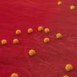 A presença de Staphylococcus aureus amplifica a toxicidade das nanopartículas de óxido de zinco nas células da pele