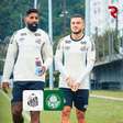 Santos x Palmeiras: onde assistir ao vivo, horário e escalações pelo Clássico no Brasileirão