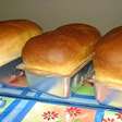 Pão caseiro fácil que cresce bastante e rende vários pães super macios e fofinhos, uma delícia