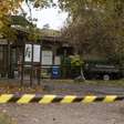 Menina de 8 anos é atacada por lobo em zoológico na Alemanha