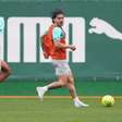 Palmeiras divide elenco entre regenerativo e coletivo após clássico