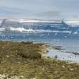 Ilha remota na Islândia busca voluntários para passar o verão cuidando da natureza com hospedagem e comida gratuitas