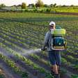 União Europeia propõe afrouxar regras para agrotóxicos e gera alerta