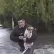 Repórter interrompe transmissão ao vivo para salvar cachorro que estava sendo arrastado por correnteza
