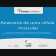 Anatomia de uma célula muscular