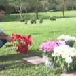 Fãs visitam túmulo 20 anos após a morte de Ayrton Senna